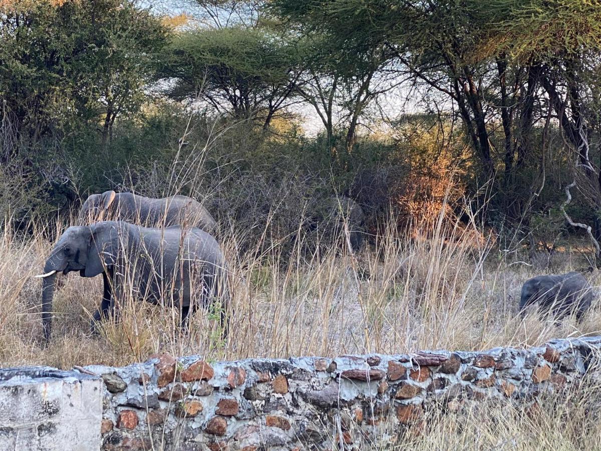 Big 5 Toro Lodge Kasane Dış mekan fotoğraf